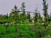 Exploring Yiwu’s Best Jogging Trails: A Runner’s Paradise