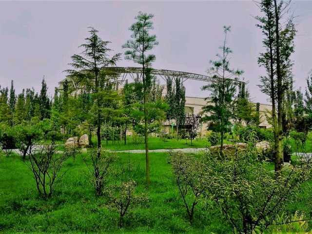 Exploring Yiwu’s Best Jogging Trails: A Runner’s Paradise