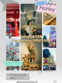 Tokyo 4D3N – Shrines, Skylines & Shopping Spree 🗼🛍️