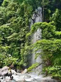 逃離40℃火爐！成都2小時直達西嶺雪山20℃花海秘境