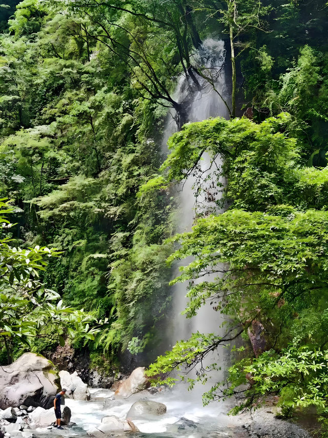 逃離40℃火爐！成都2小時直達西嶺雪山20℃花海秘境
