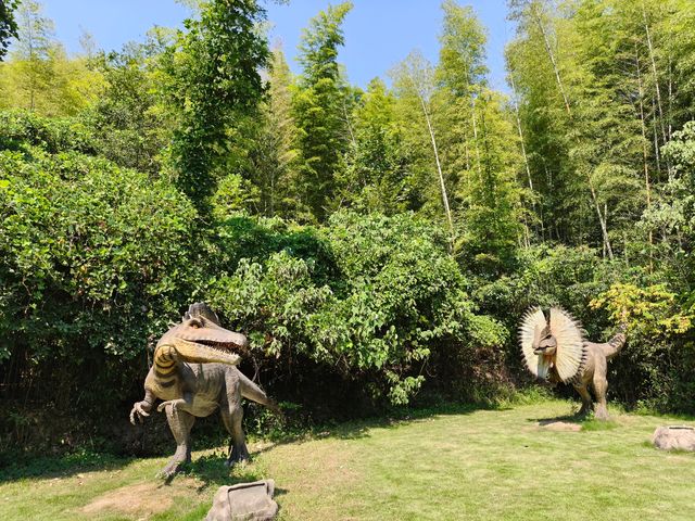 深入竹海看神奇動物