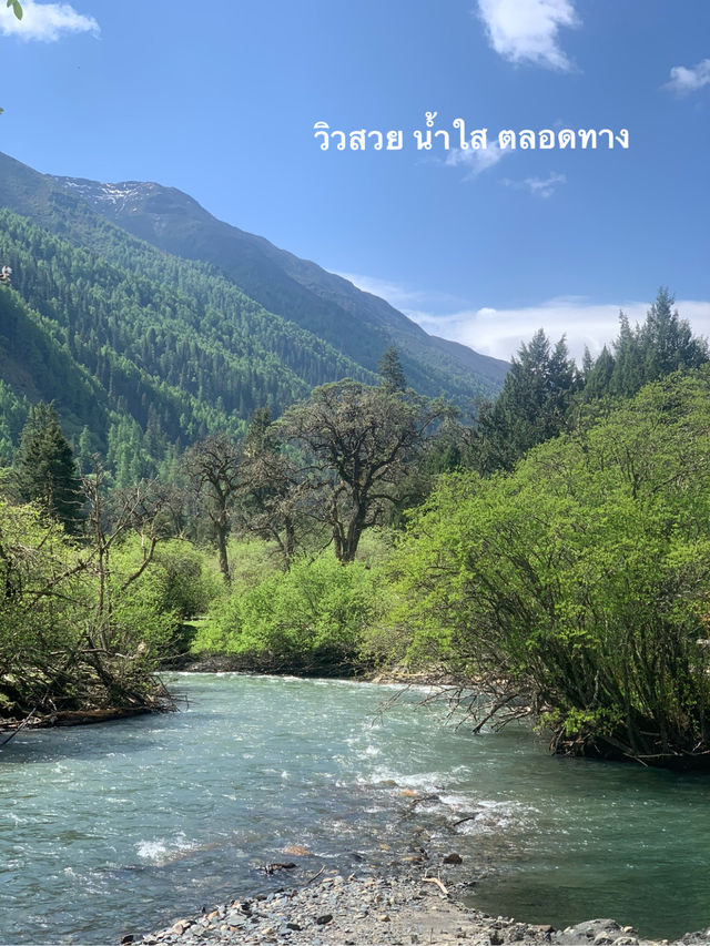 Siguniangshan - changpinggou In June