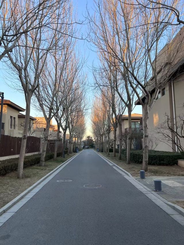 淡季阿那亞太上頭啦！