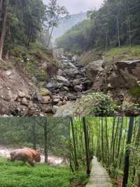 唐家河遊玩寶典:清涼、野趣、親子遊一網打盡!
