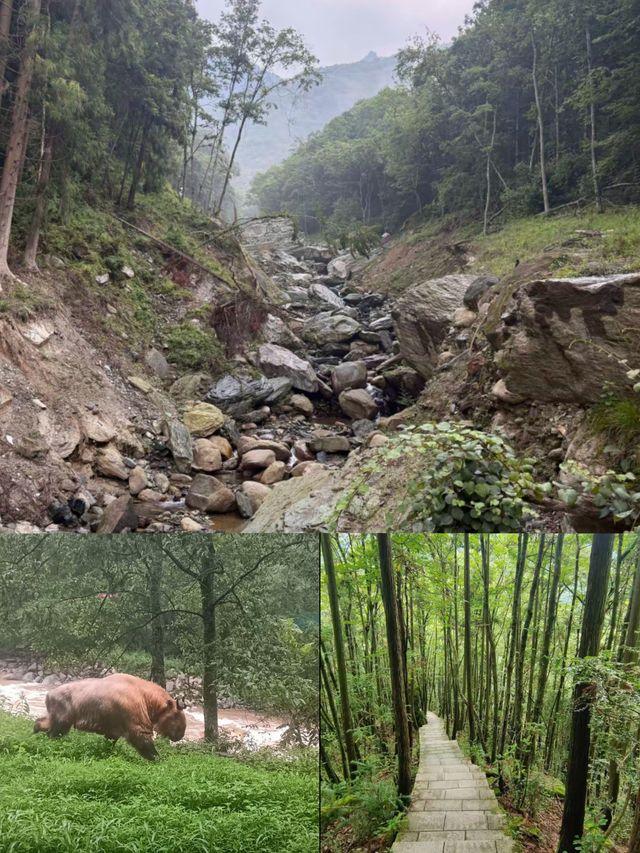 唐家河遊玩寶典:清涼、野趣、親子遊一網打盡! 唐家河遊玩寶典:清涼、野趣、親子遊一網打盡!