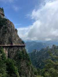 老君山遊玩指南！雲海、紅葉、道教聖地，一鍵解鎖人間天堂！