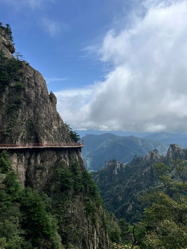 老君山遊玩指南！雲海、紅葉、道教聖地，一鍵解鎖人間天堂！
