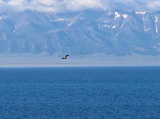 남북 신장 10일 여행 일정
