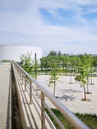 濱河之畔，文化的脈動：濱河文化健身體驗園