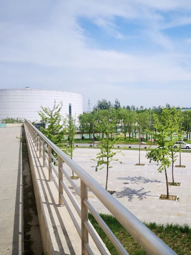 濱河之畔，文化的脈動：濱河文化健身體驗園