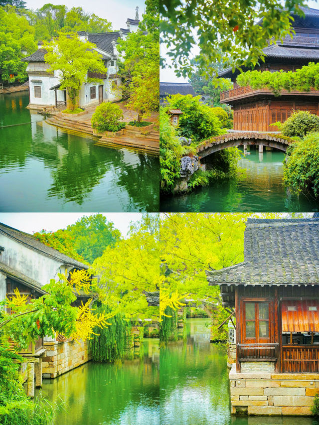 上海周邊看海計劃！平湖這個寶藏小城，週末遛娃太香了！