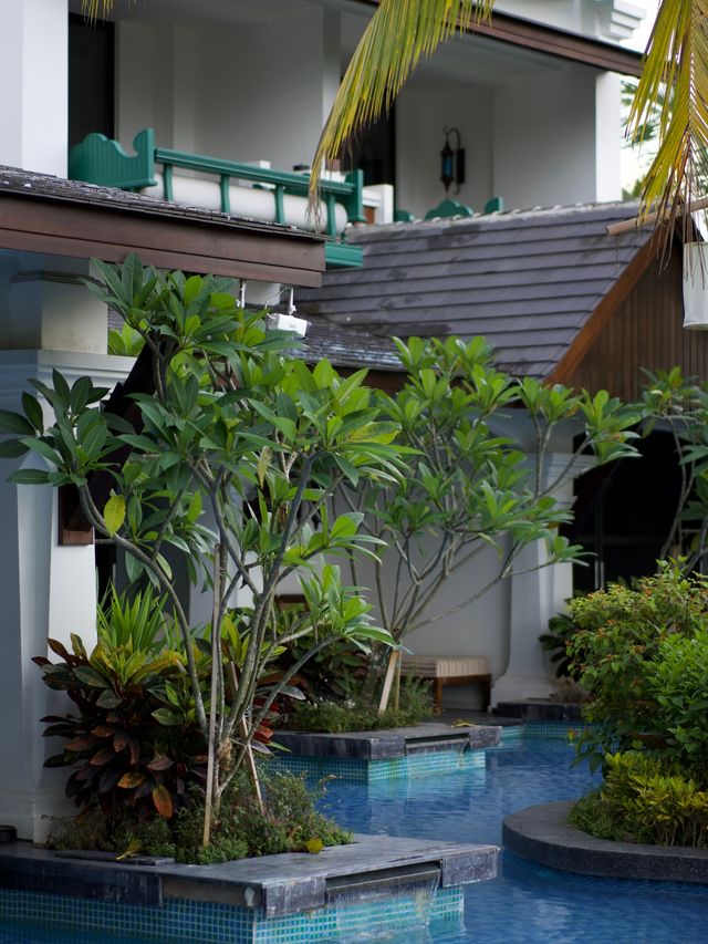 西雙版納必住!藏在稻田裡的傣族風情度假別墅  帶小孩來版納玩,挖到一家神仙親子酒店! 隱匿在成片稻 西雙版納必住!藏在稻田裡的傣族風情度假別墅  帶小孩來版納玩,挖到一家神仙親子酒店! 隱匿在成片稻