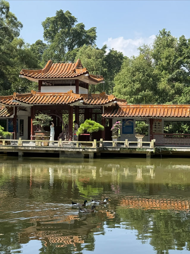 仙湖植物園：深圳綠肺，藏盡四季植物奇觀