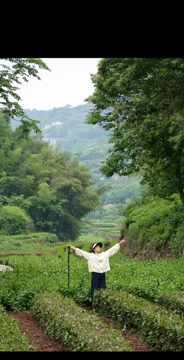 陰雨天韓妃江古道徒步攻略 | 秘境打卡&路線指南