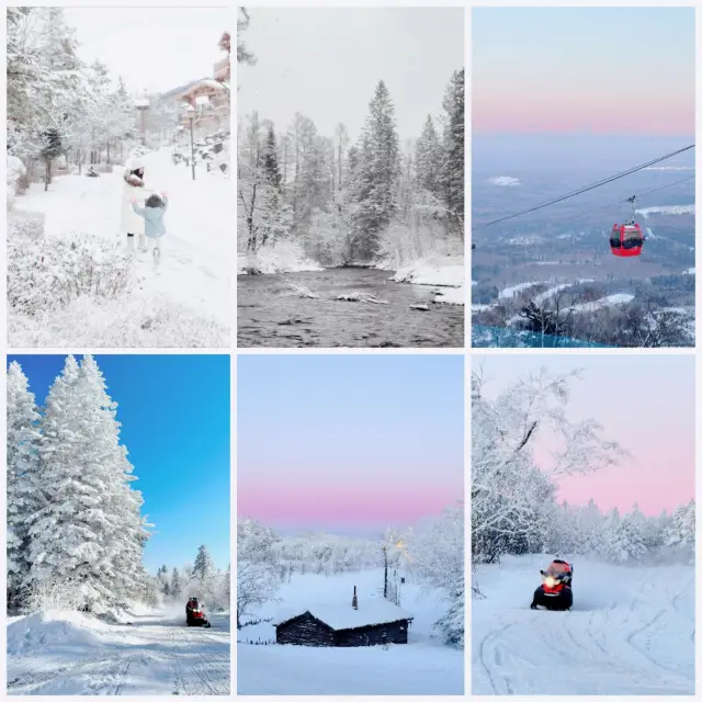 Ice and Snow Wonderland Check-in Guide