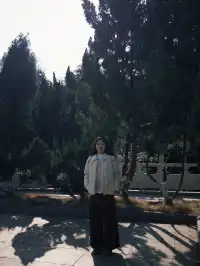 湖南郴州 | 我以一種亂走的方式拼圖宜章