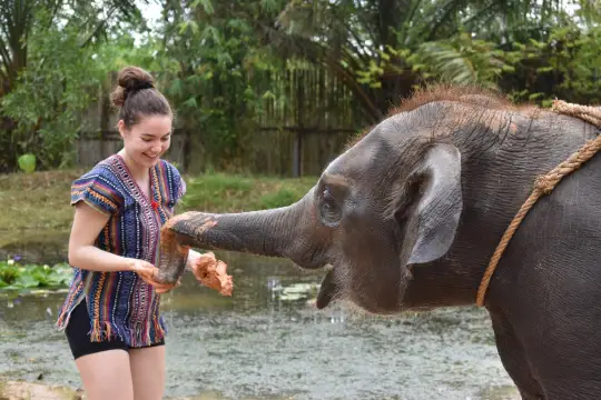 A truly loving elephant interaction experience