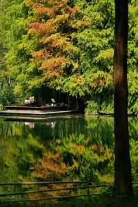 宜昌深秋限定！運河公園美成調色盤，帶娃住這超省心