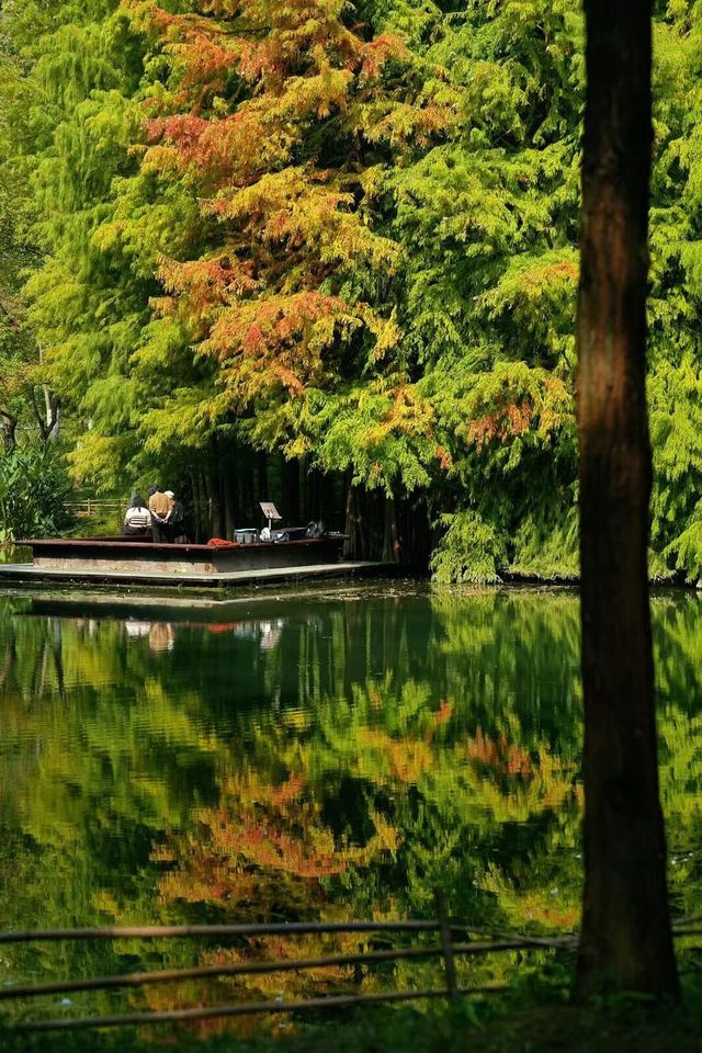 宜昌深秋限定！運河公園美成調色盤，帶娃住這超省心