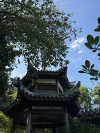 惠州植物園隱藏玩法
