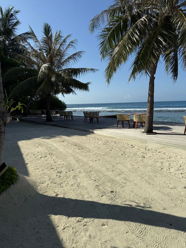 An Unforgettable Stay at Anantara Dhigu Maldives An Unforgettable Stay at Anantara Dhigu Maldives