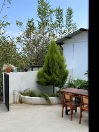 再次嚟到大理喜洲，無意間入住咗呢間民宿，當時覺得個名叫做「青柏」就已經好有寫意嘅感覺，點知入住之後果然唔係咁