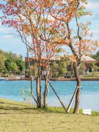 注意!這不是油畫,而是成都的彩色秋天!