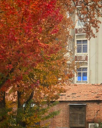 還得是西安的小香港啊!紡正街 還得是西安的小香港啊!紡正街