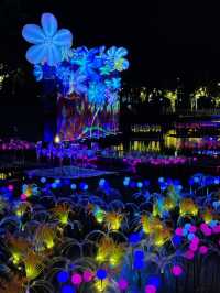 廈門夜遊頂流！園博苑花燈每週末限定浪漫