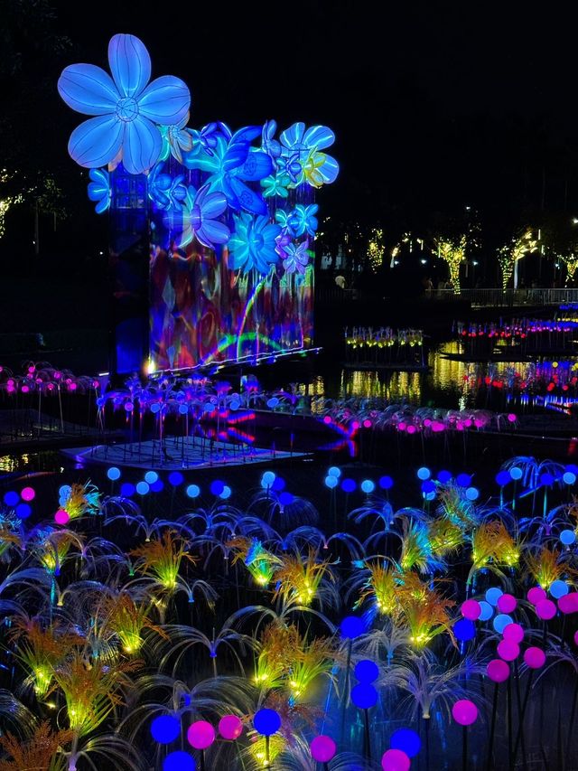 廈門夜遊頂流！園博苑花燈每週末限定浪漫