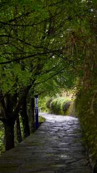 大水井古建築群(李氏宗祠)