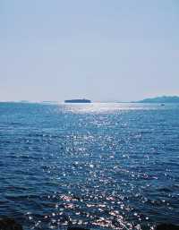 青島·冬日鷗語