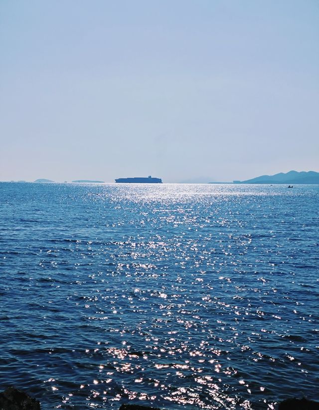 青島·冬日鷗語