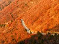 天津周邊秋色封神！魯家峪8km新手徒步路線，風景美到失語