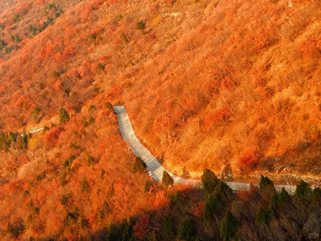 天津周邊秋色封神！魯家峪8km新手徒步路線，風景美到失語