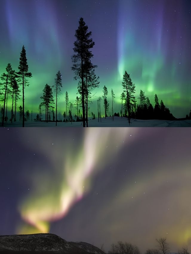 極光森林奇幻夜