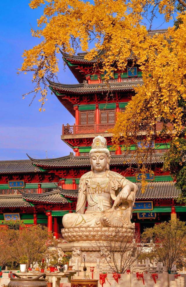 沒有一個城市比南京更懂秋天