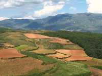 油菜花海徒步攻略