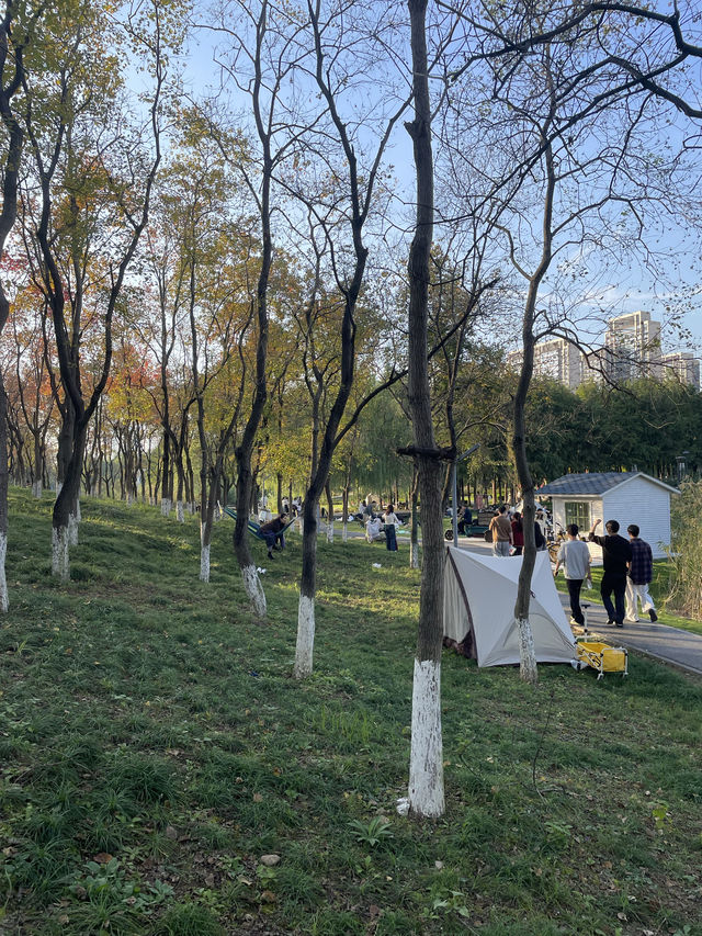 在半島世界酒店，偶遇秋日最美江濱公園