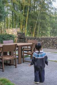 秋天帶娃住進莫干山，被美景治癒了！