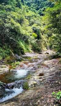 秘境森林徒步路線