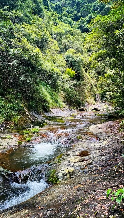 秘境森林徒步路線