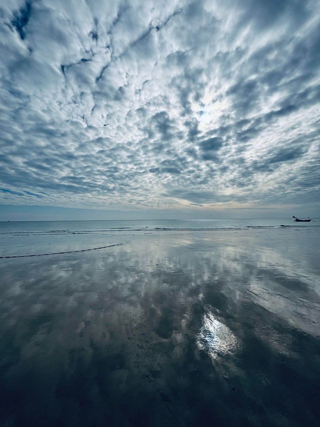 涠洲島追鯨全攻略｜秋冬限定5個月浪漫邂逅