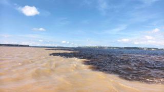 아마존에 도전하세요! 야생 브라질 탐험 완전 가이드