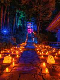 爆美！！！奈良室生寺紅葉燈光展·小眾秘境打卡指南