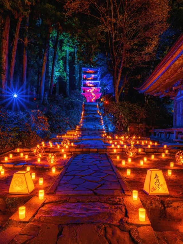 爆美！！！奈良室生寺紅葉燈光展·小眾秘境打卡指南