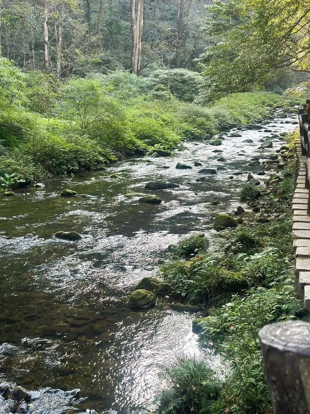 張家界徒步走斷腿系列11.13 張家界徒步走斷腿系列11.13