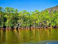 城裡人私藏觀景秘境