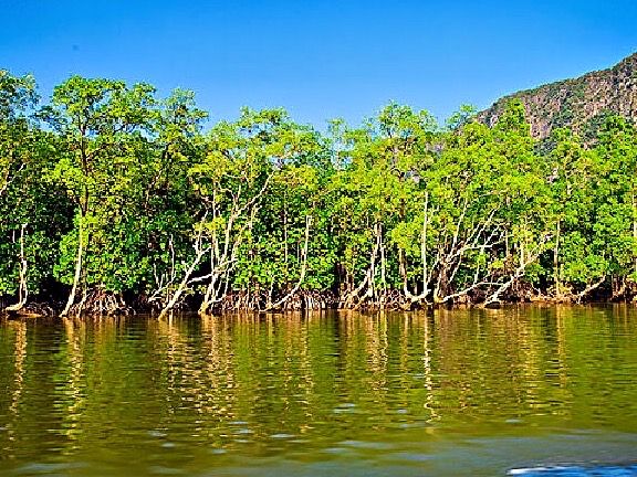 城裡人私藏觀景秘境 城裡人私藏觀景秘境